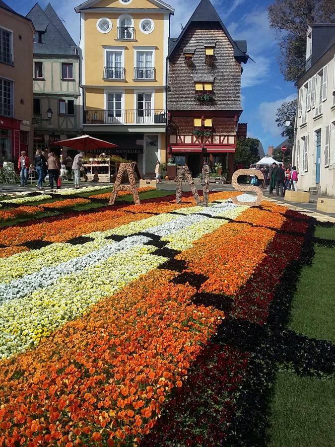 Logis Louisblanc, Muraille Romaine, Lit Queen-Size, Centre Ville Le Mans Luaran gambar